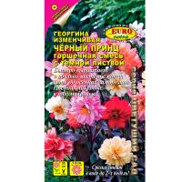 Георгина Нифертити смесь 10шт