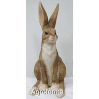 Заяц полевой 35х18х13
