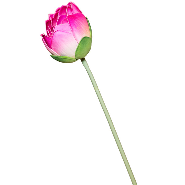 Плав.цветок Лотос 62715