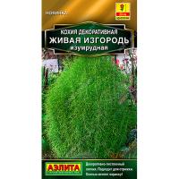 Аэлита Кохия Живая изгородь изумрудная 0,1г