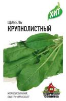 Щавель Крупнолистный 0,5г