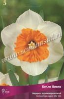 Нарцисс Крупнокорончатый Белла Виста (12/14) 5шт.