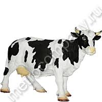 Корова средняя 50*76см  16709