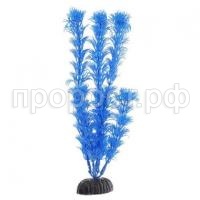 542_352322 542_352322