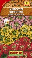 Алиссум Эйфория, смесь окрасок_ЦП Алиссум Эйфория, смесь окрасок_ЦП