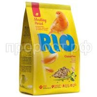 RIO_canary_Moulting period_pachka_r