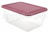 1451-1455_Ёмкость_ягодный 1451-1455_Ёмкость_ягодный