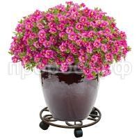 П173091_1 П173091_1