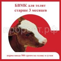 БВМК ТЕЛЯТА СТАРШЕ 3 БВМК ТЕЛЯТА СТАРШЕ 3