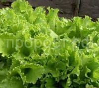 31c1ecf97f1f562291f2362fe0f5b9fc 31c1ecf97f1f562291f2362fe0f5b9fc