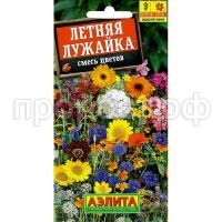 летняя лужайка летняя лужайка