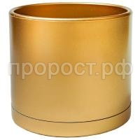 103-017 золото 103-017 золото