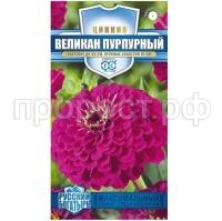 великан пурпурн