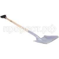 П132917_0 П132917_0