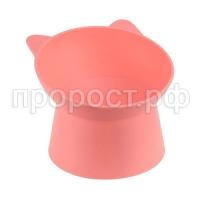 1806корал 1806корал