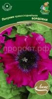 Петуния превосходнейшая Бордовая