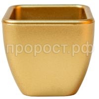 102-006 золото 102-006 золото