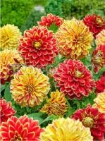 Без названия (1)