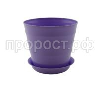 лаура с под (2)