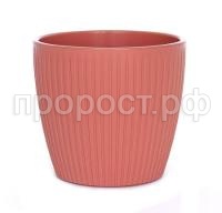 Эви Пудра БФ