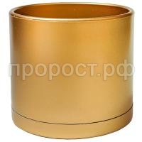 103-09 золото 103-09 золото