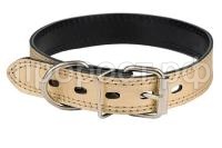 113130zoloto 113130zoloto