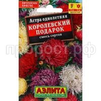 астра королевский подарок