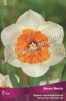 Нарцисс Белла Виста Нарцисс Белла Виста