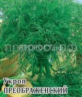 10008363_mini4 10008363_mini4