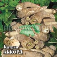 Катран Аккорд 25 г