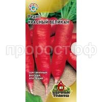 редис красный великан