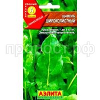 щавел широк щавел широк