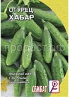 ОГУРЕЦ ХАБАР 11