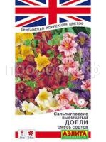 Без названия (32)