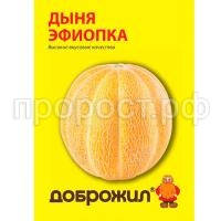 дыня эфиопка