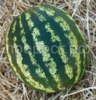 НоменклатураПрисоединенныеФайлы НоменклатураПрисоединенныеФайлы