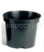 00900001289 00900001289