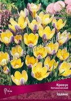 Крокус Эдванс Крокус Эдванс