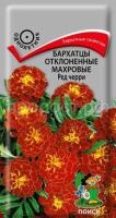 Бархатцы отклоненные махровые Ред черри Бархатцы отклоненные махровые Ред черри