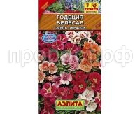 годеция белесая годеция белесая