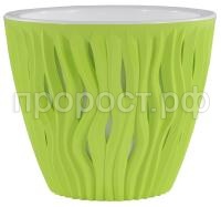 фисташковый 11