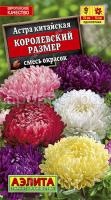 Астра Королевский размер смесь пионовид