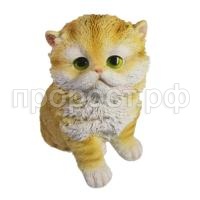 котенок рыжий