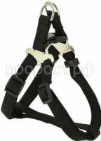 81305256_1 81305256_1