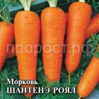 Морковь Шантенэ Роял 100г