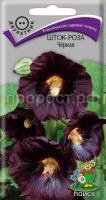 Шток-роза Чёрная