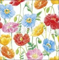 46b06854f4c727af1e2237bf3104bc29