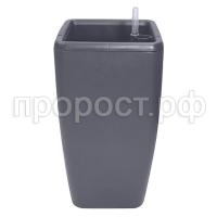 pelamt24nr305ynebi3v7np8g5af0gej pelamt24nr305ynebi3v7np8g5af0gej