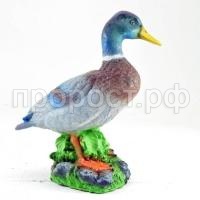 previewin420xin420_377236_1_78282539a7171341cf3879ab0504cd52