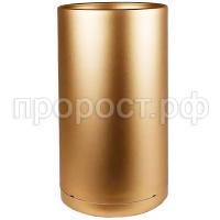 123 золотой осн